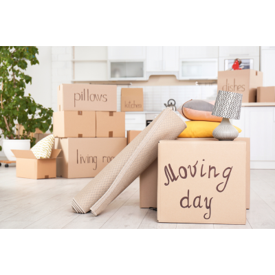 ΠΑΚΕΤΟ ΜΕΤΑΚΟΜΙΣΗΣ STANDARD